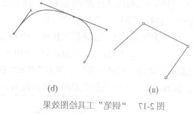 钢笔工具绘图效果